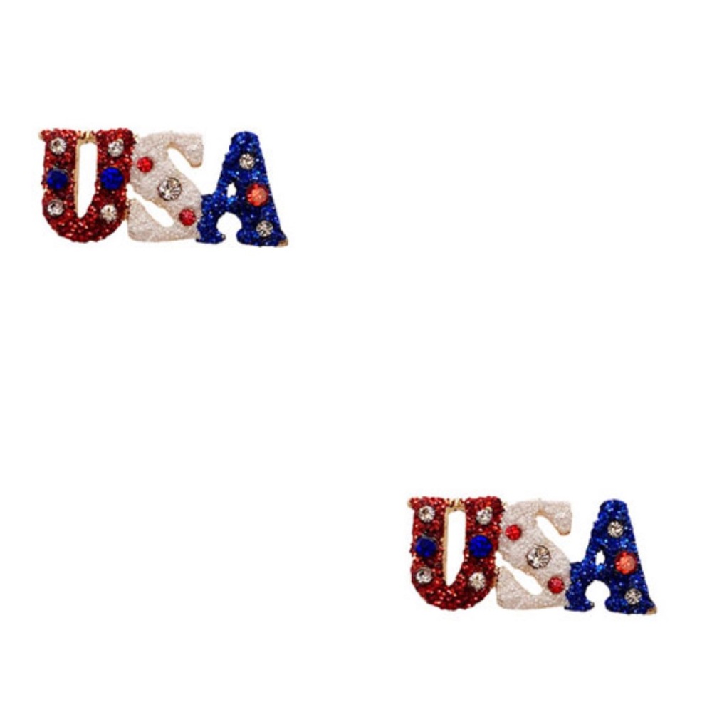 USA Post Earring